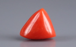 Red Coral - TC 5112 (Origin - Italy) Limited - Quality